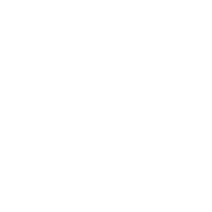 Security Assessments
